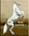 White Lightning